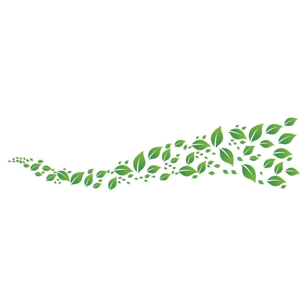 feuille verte logo et symbole vecteur