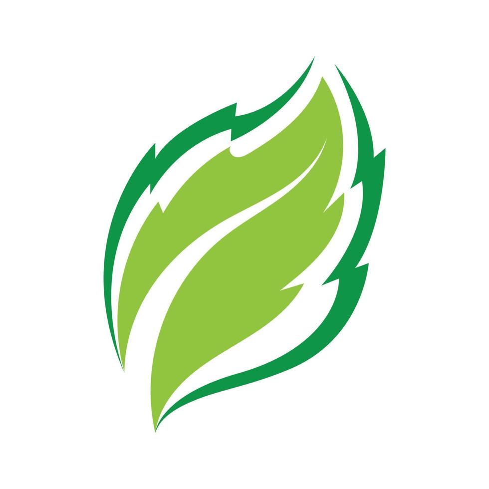 feuille verte logo et symbole vecteur