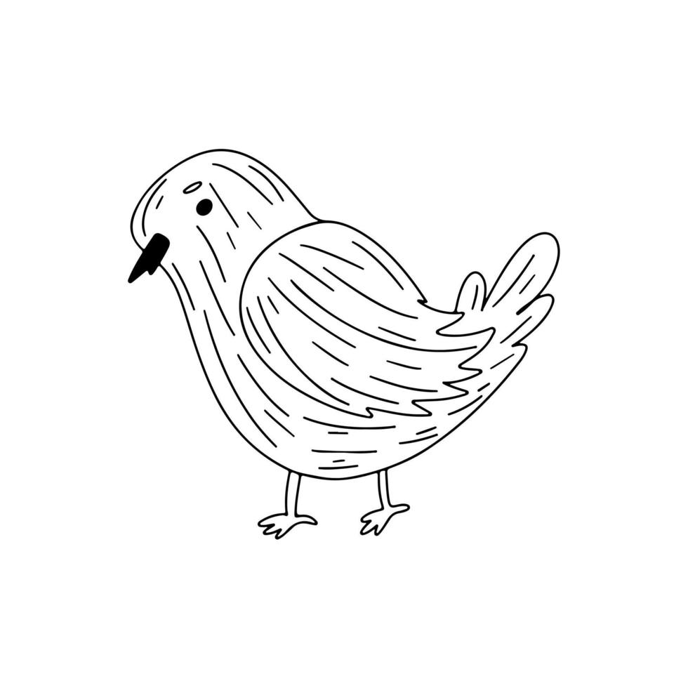 oiseau mignon dans un style doodle dessiné à la main. illustration vectorielle. vecteur