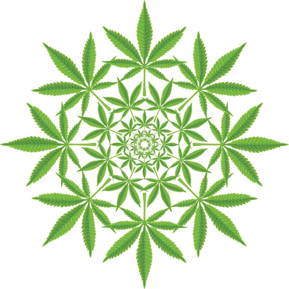 modèle de contour de cannabis vecteur