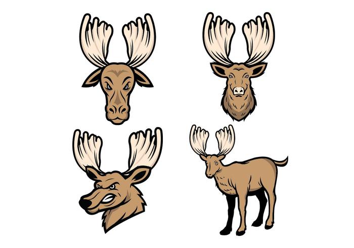 Vecteur libre Moose Mascot