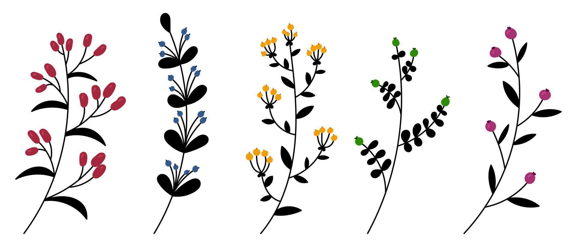ensemble de plantes et d'herbes vectorielles. éléments floraux dessinés à la main. silhouettes d'éléments naturels pour les arrière-plans saisonniers. style de griffonnage. illustration vectorielle vecteur