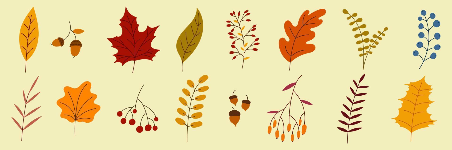 collection d'automne dessinée à la main avec des plantes et des feuilles de saison. ensemble de plantes, feuilles, fleurs dessinées à la main. coloré d'éléments naturels pour les arrière-plans saisonniers. illustration vectorielle vecteur