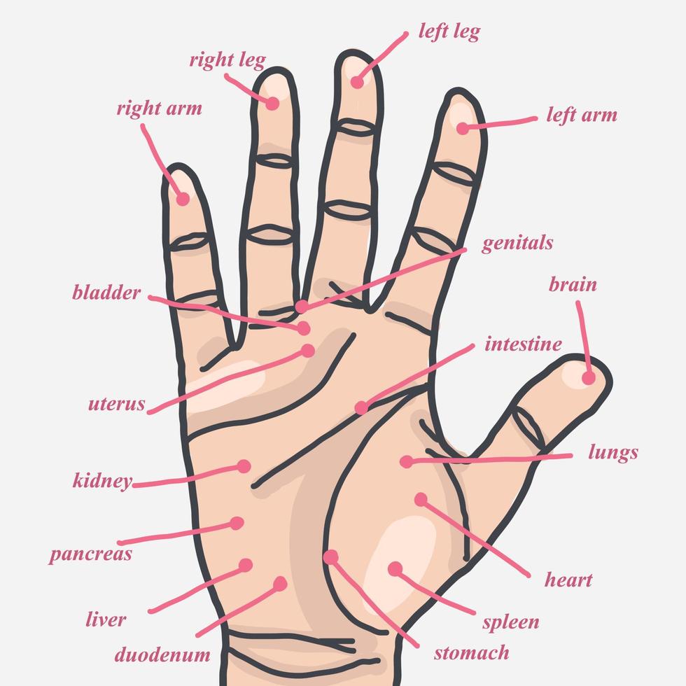 points d'acupuncture des mains vecteur