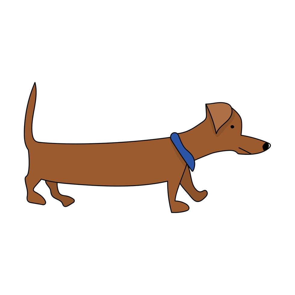 chien teckel en style cartoon, long animal brun vecteur