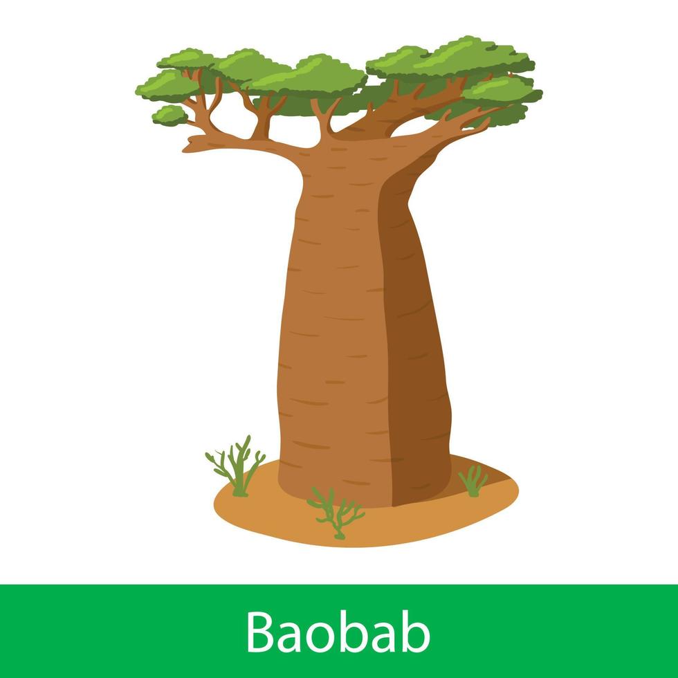 arbre de dessin animé de baobab vecteur