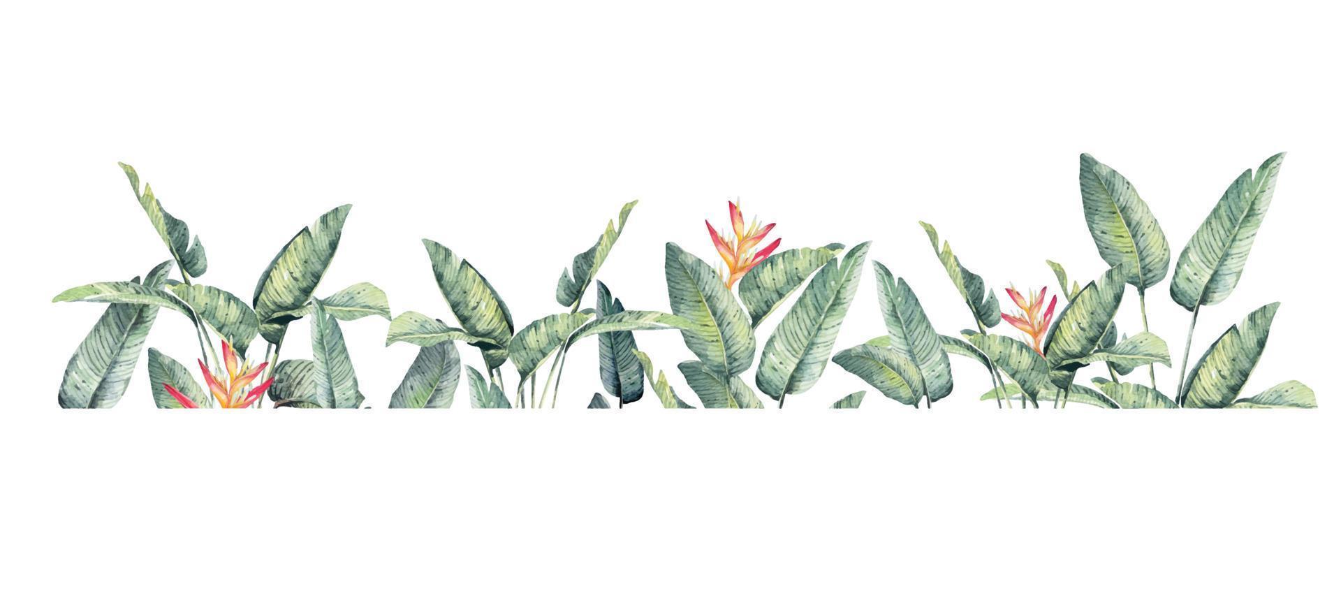 fond de feuilles tropicales.cadre oiseau de paradis avec aquarelle.branches et feuilles de plantes tropicales avec un espace pour le fond text.botanical et le papier peint. vecteur
