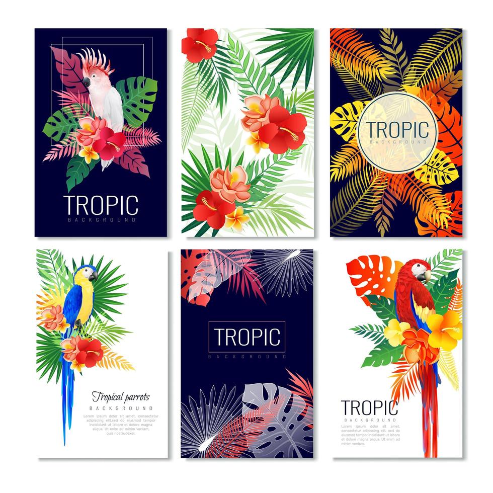 ensemble d'affiches de feuillage tropical et de perroquets vecteur