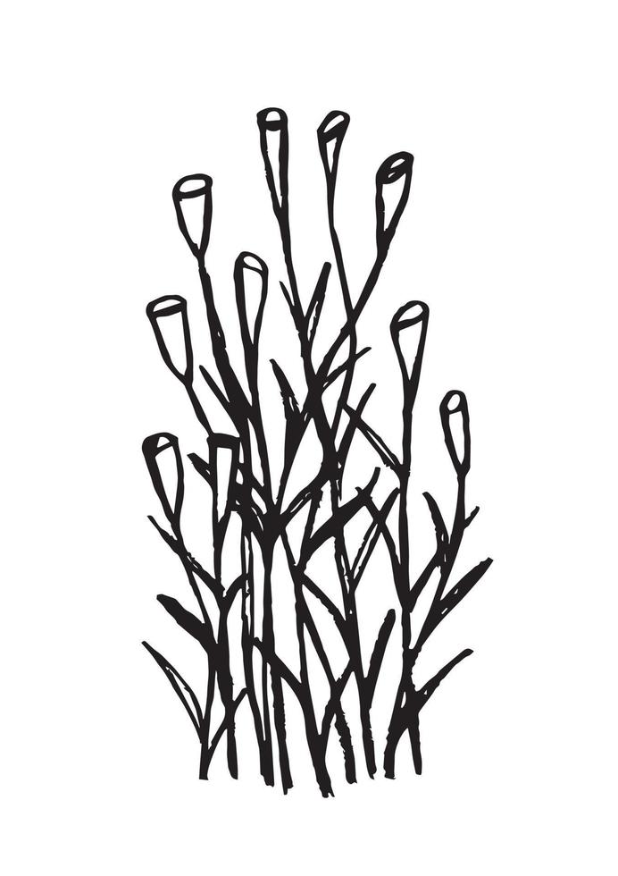 doodle simple vecteur d'un bouquet de fleurs, de cloches, de tiges et de feuilles de calla sauvages. silhouette noire d'un parterre de fleurs naturel isolé sur fond blanc.