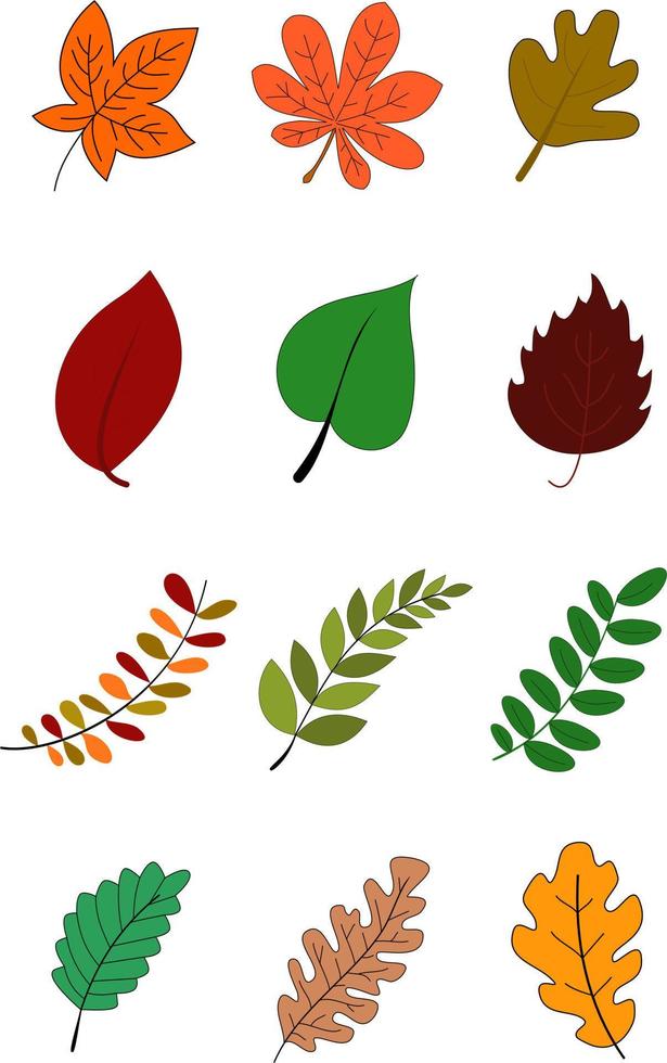 collection de feuilles colorées. feuilles de vecteur de style plat de dessin animé simple.