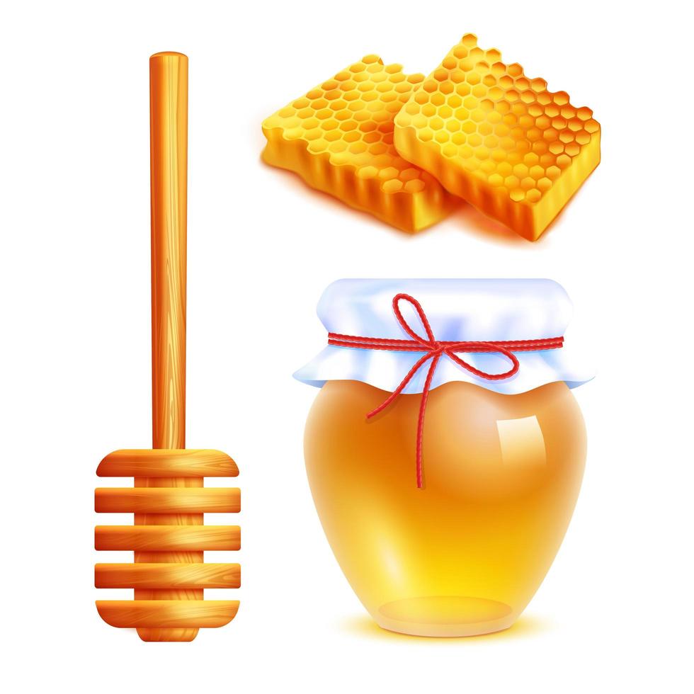ensemble de miel réaliste vecteur