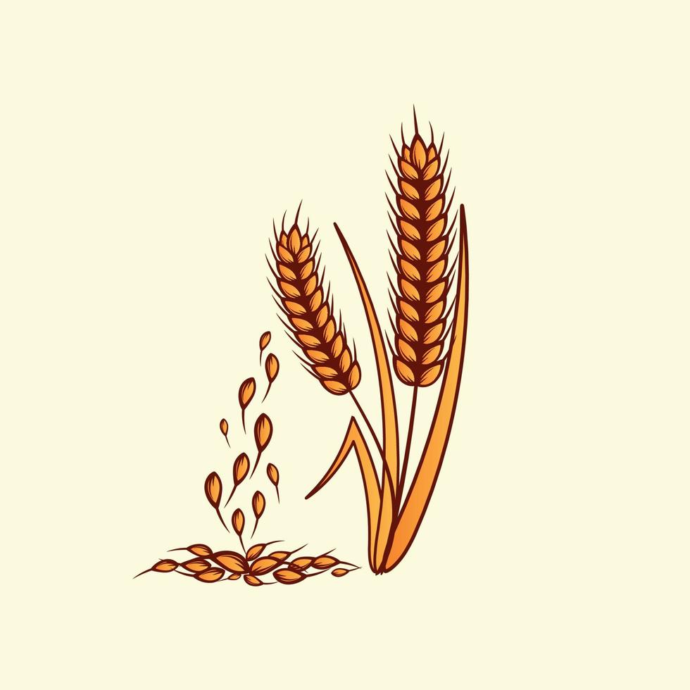 jaune doré dessiné à la main de blé épis céréales orge illustration dans un style vintage et rétro sur fond blanc vecteur