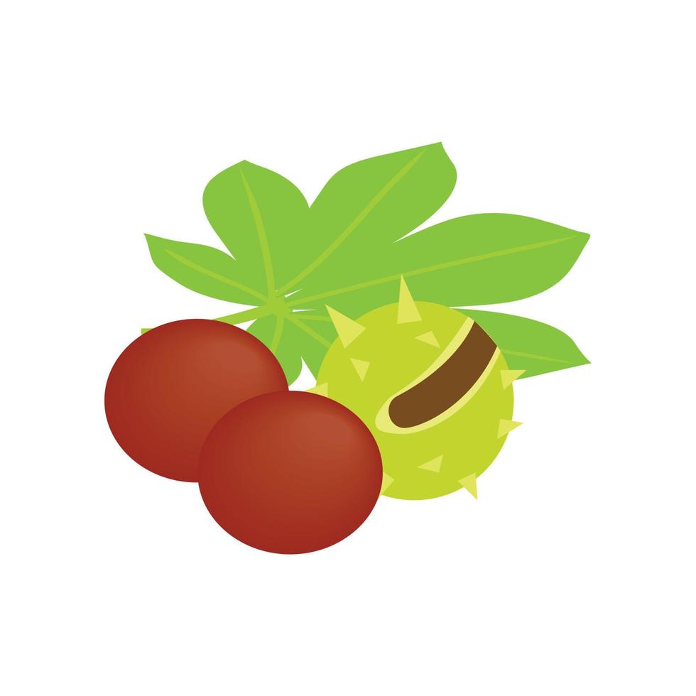 icône 3d isométrique de noix de coco, de durian et de feuilles de palmier vecteur