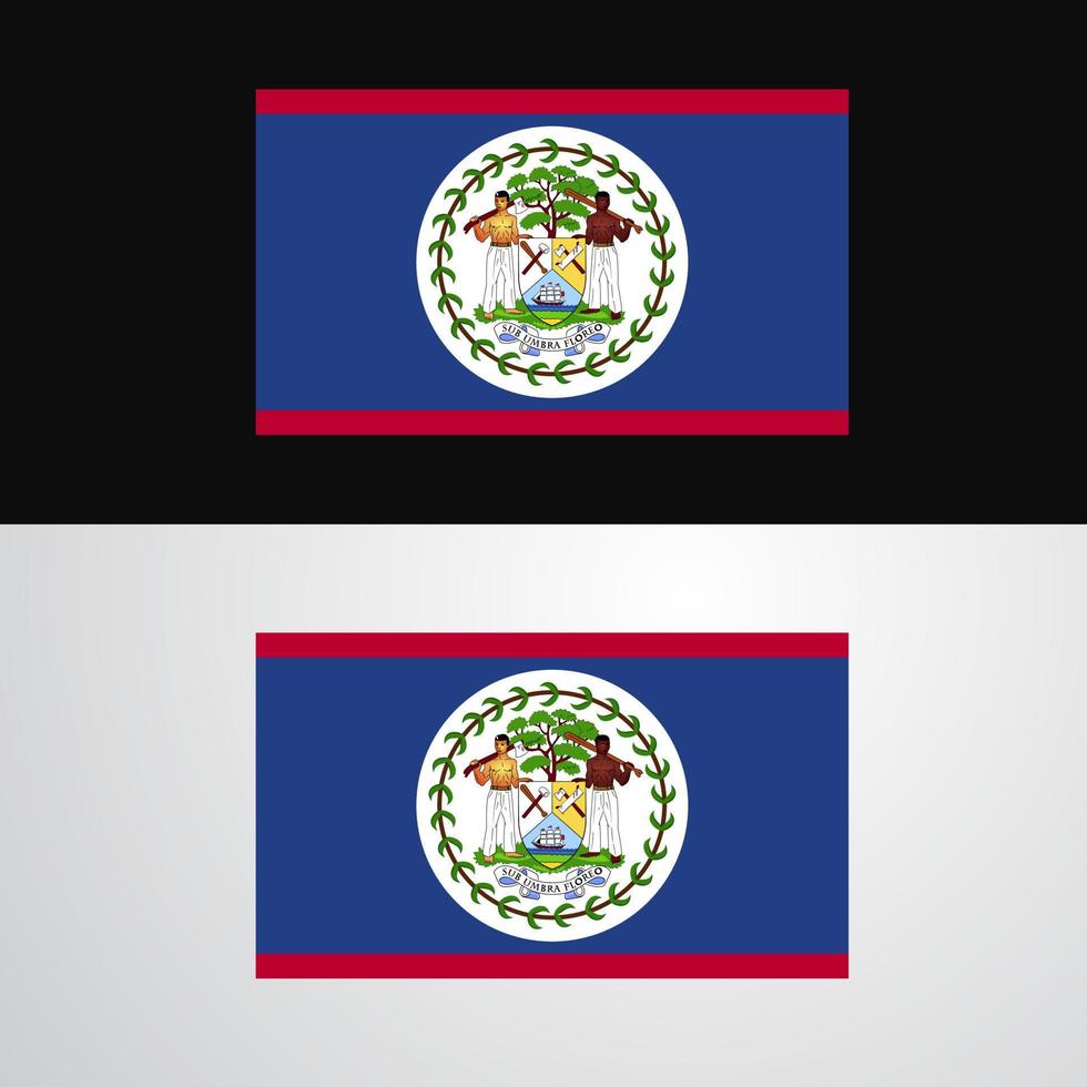 conception de bannière drapeau belize vecteur