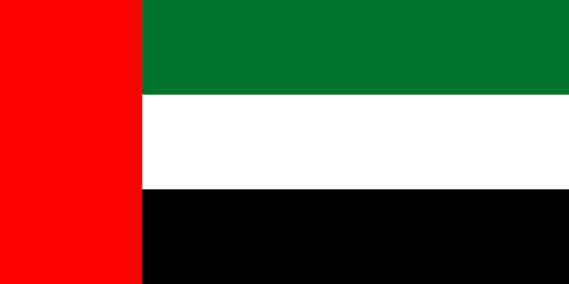 drapeau isolé des EAU vecteur