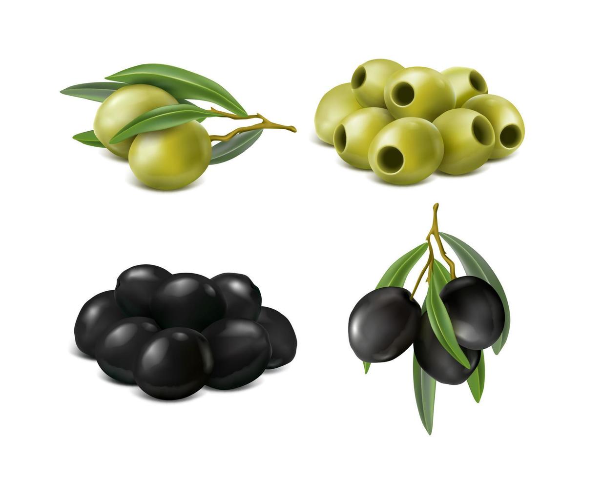 Jeu d'icônes vectorielles réalistes 3D. olives vertes et noires. isolé sur fond blanc. vecteur