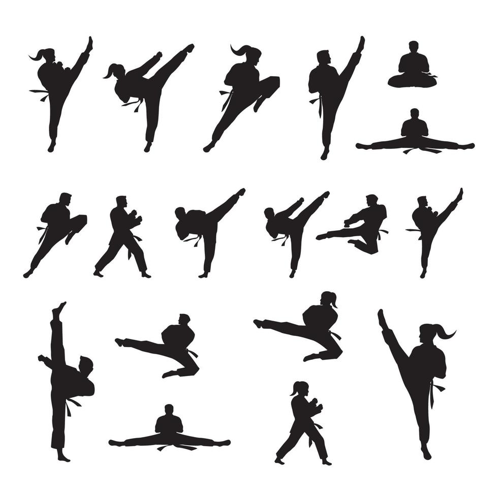 conception d'icône vectorielle de taekwondo vecteur