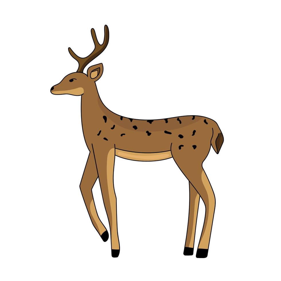 cerf de dessin animé isolé. cerf mignon de noël. illustration vectorielle vecteur