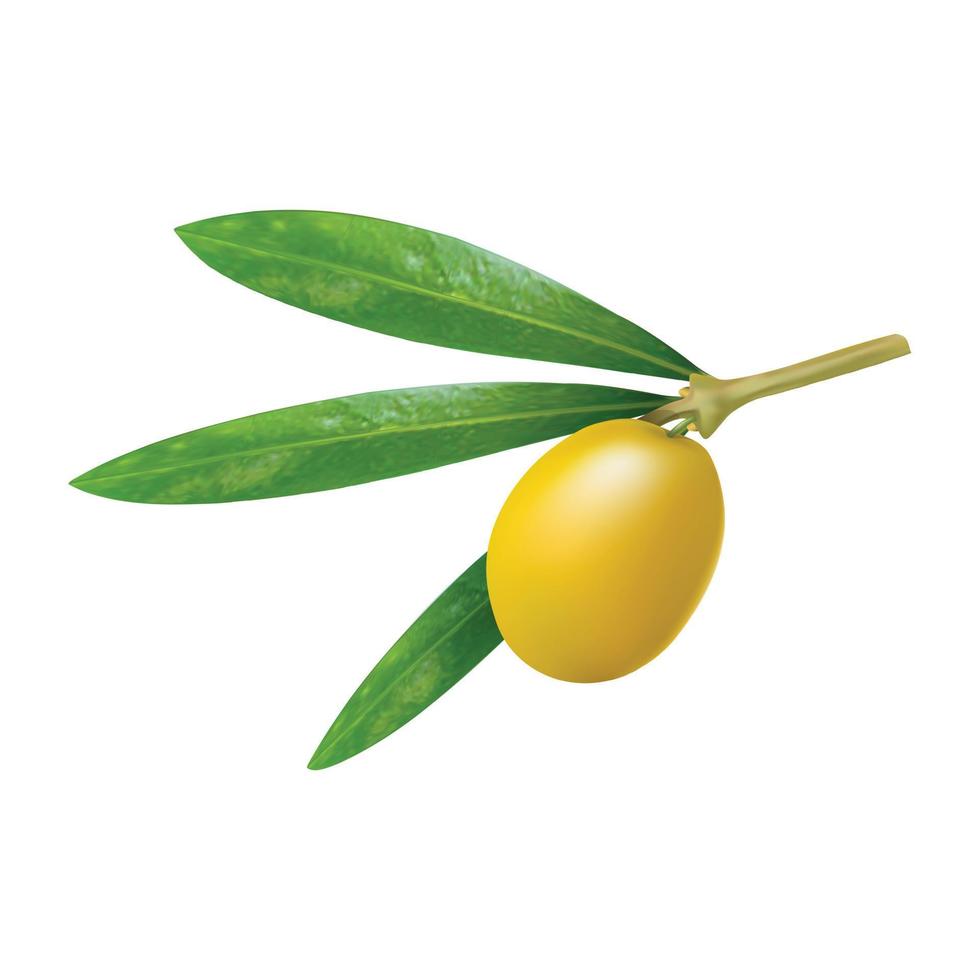 icône d'olive verte grecque, style réaliste vecteur