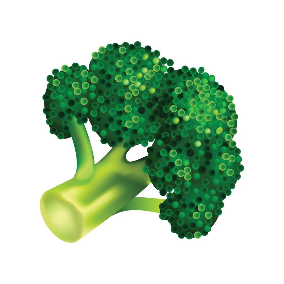 icône de brocoli de ferme, style isométrique vecteur