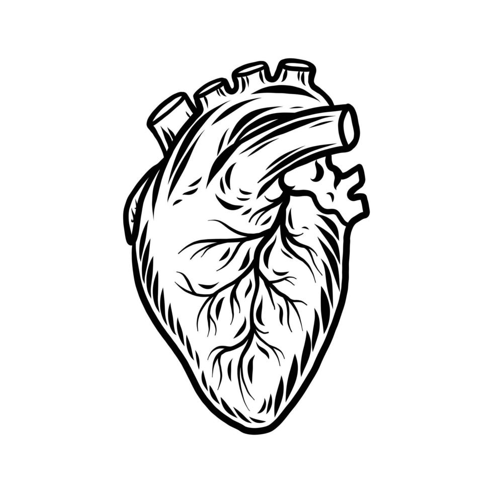 icône d'organe cardiaque humain, style dessiné à la main vecteur