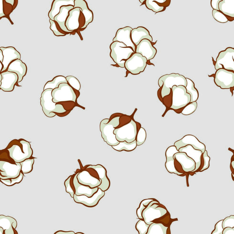 modèle sans couture floral plante boule de coton vecteur