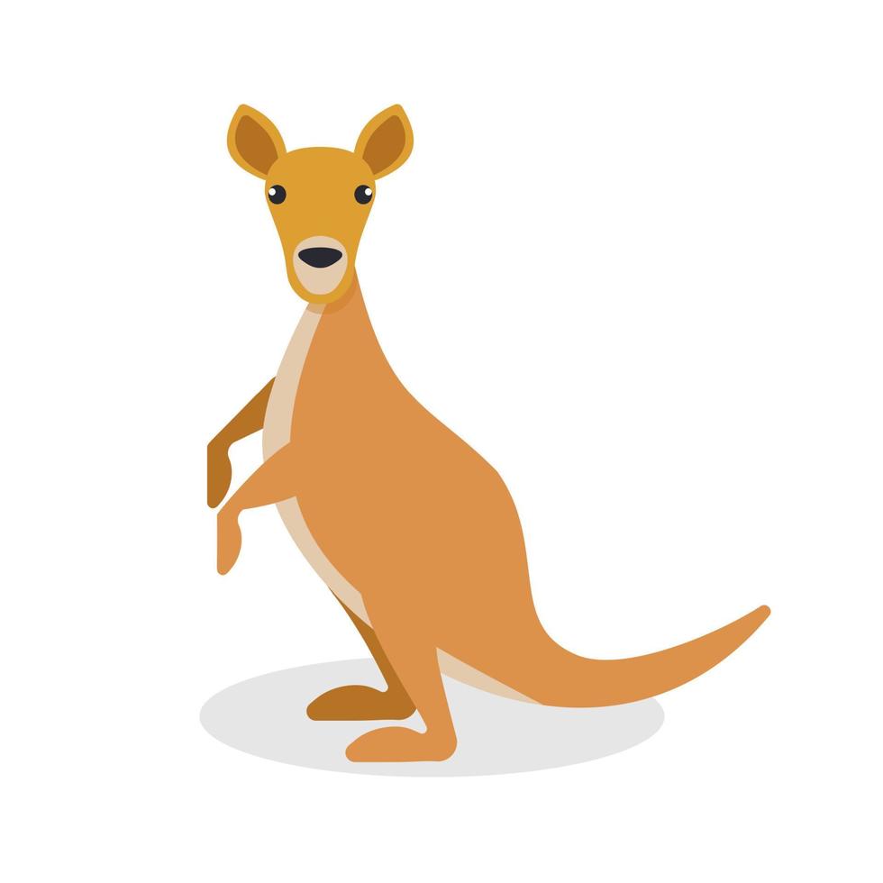 kangourou mignon. animal d'afrique. illustration vectorielle dans un style plat. vecteur