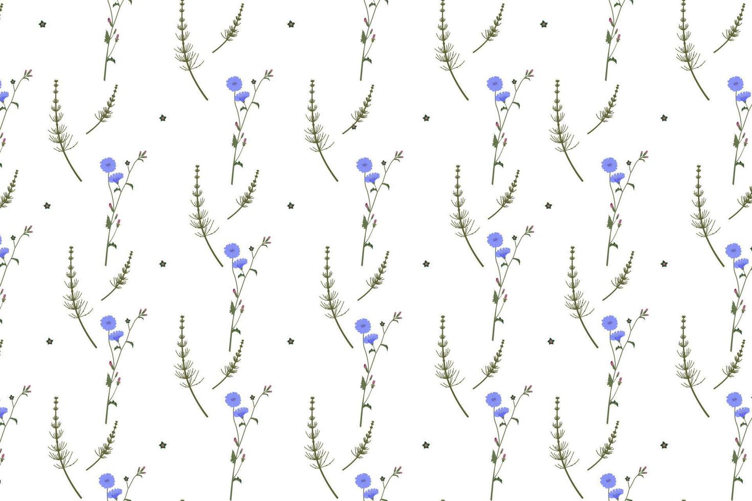 herbes et fleurs sauvages motif coloré sans couture avec chicorée, prêle, illustration vectorielle sur fond blanc pour un dessin à l'écran ou imprimé sur papier ou tissu vecteur