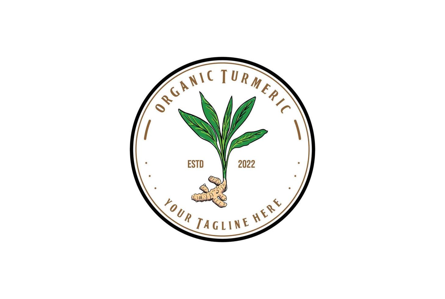 étiquette d'insigne circulaire vintage de plante de curcuma pour le logo de la ferme ou du produit vecteur