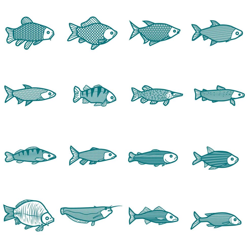 poisson - icônes de style de conception de ligne moderne sur fond blanc. une collection d'animaux. truite, saumon, anchois, thon, cabillaud, dorade, hareng, anguille, sandre, carpe, maquereau images d'espèces vecteur