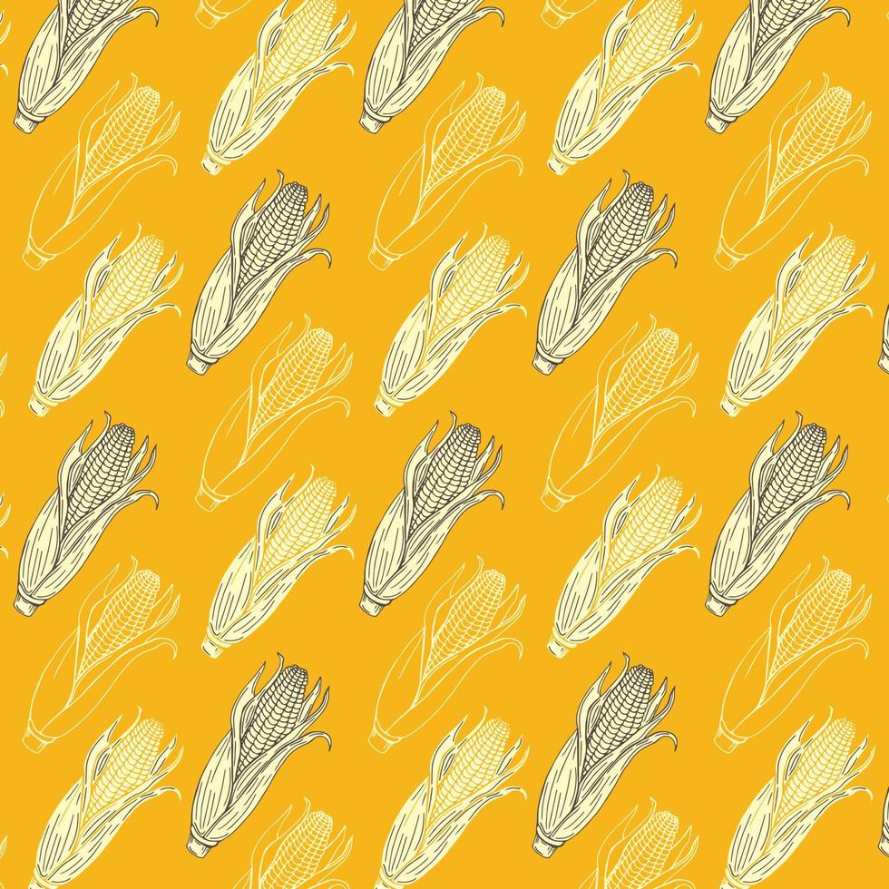 croquis de maïs. récolte de céréales, épis dessinés à la main et motif vectoriel de graines