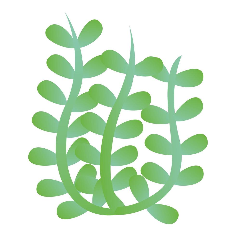 icône d'algues, style cartoon vecteur