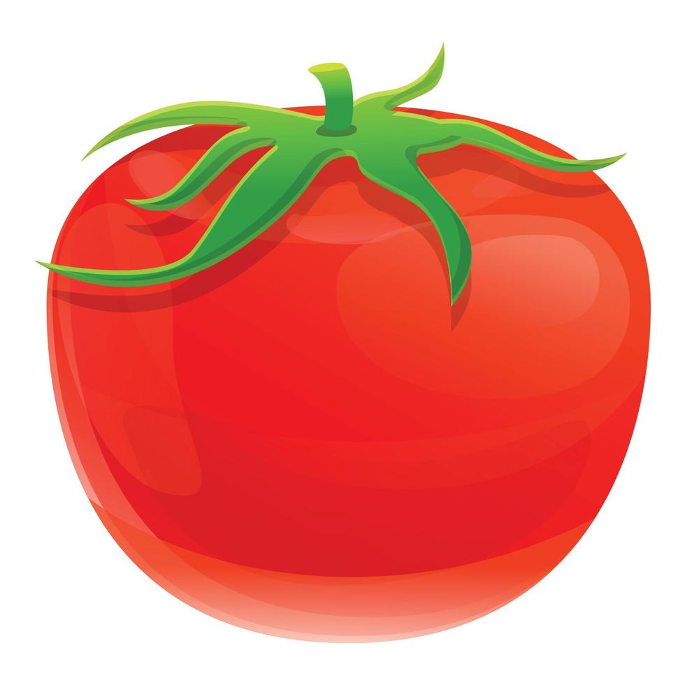 icône de tomate eco rouge, style cartoon vecteur