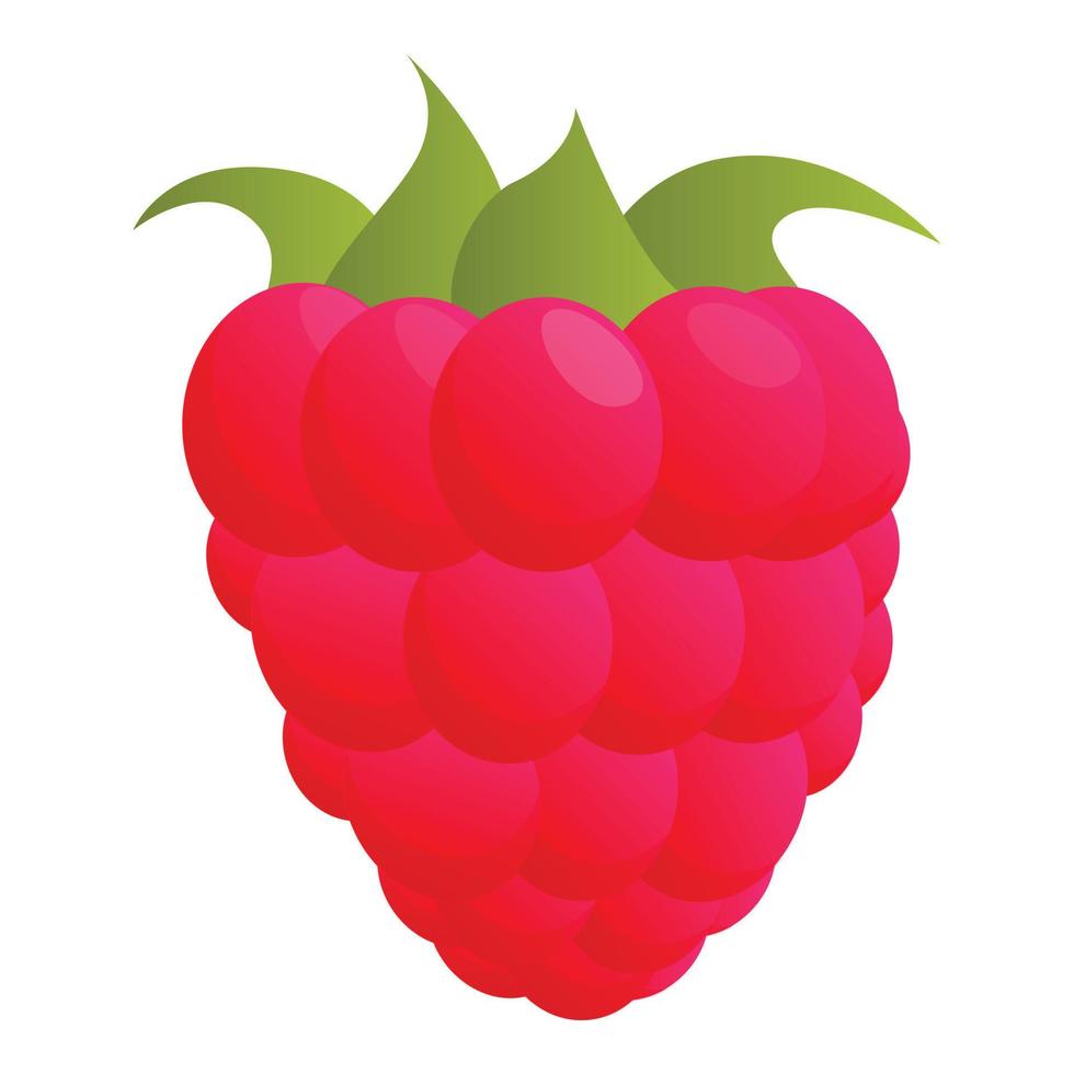 icône de framboise sucrée, style cartoon vecteur