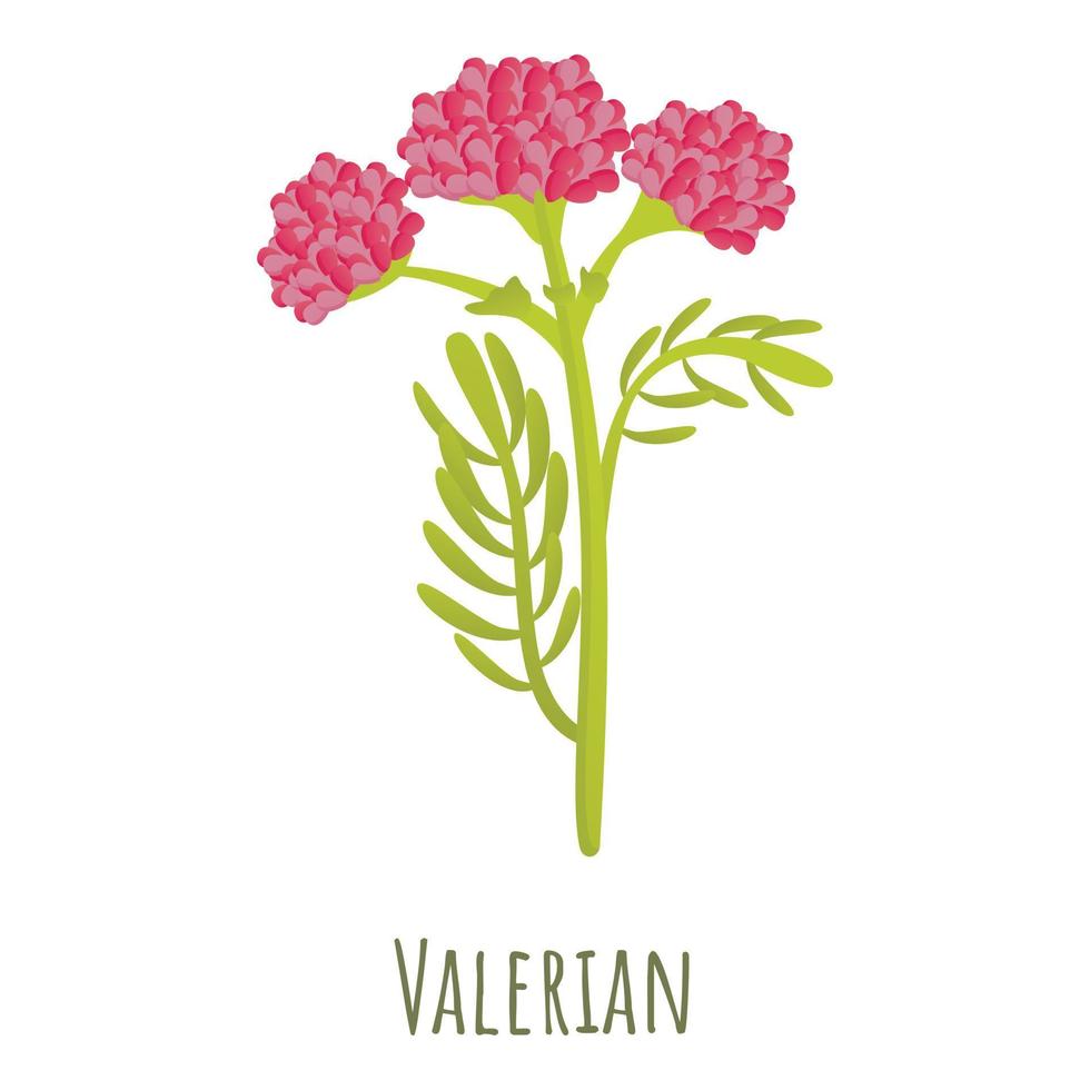 icône de plante de valériane, style cartoon vecteur