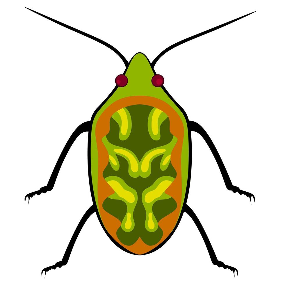 illustration vectorielle de coléoptère terrestre ou de carabidae sur fond blanc. insectes qui ont une couleur brillante. ce type de coléoptère mange généralement des animaux du sol tels que des vers. vecteur