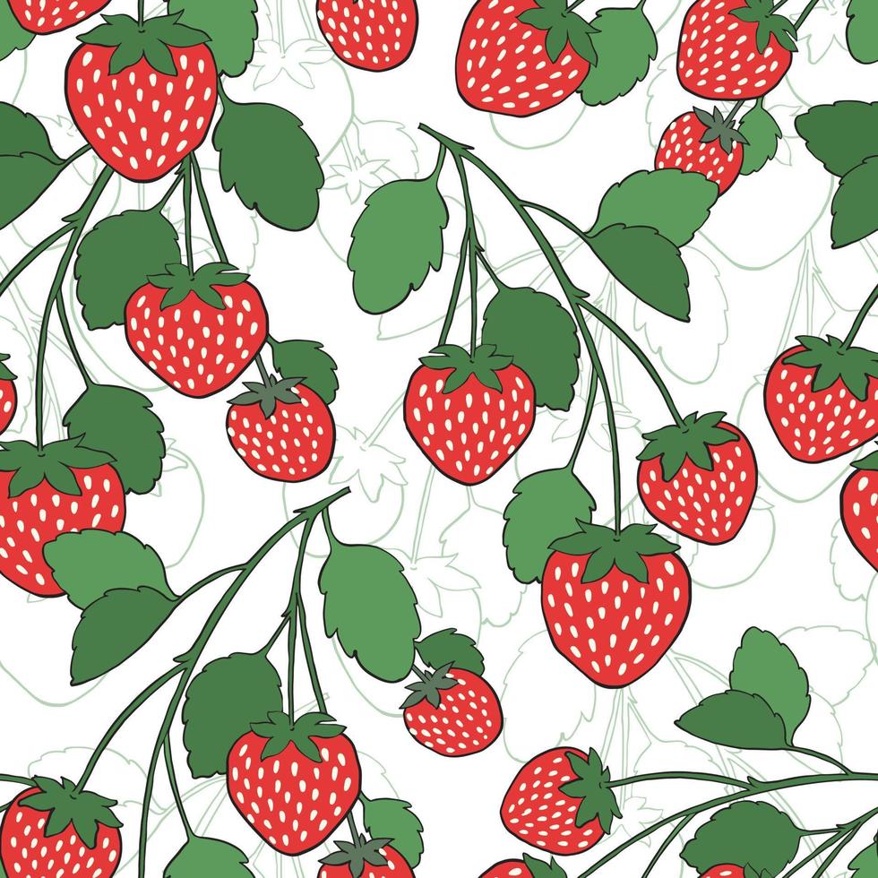 modèle vectorielle continue avec de grosses fraises sauvages savoureuses sur fond blanc. imprimé d'été à la mode avec des baies dans un style dessiné à la main. illustration de nourriture d'été délicieuse et délicieuse. vecteur