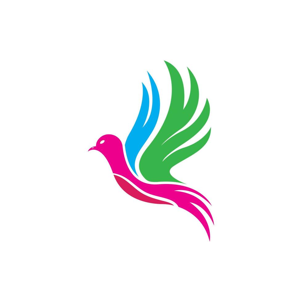 modèle de logo colombe aile oiseau vecteur