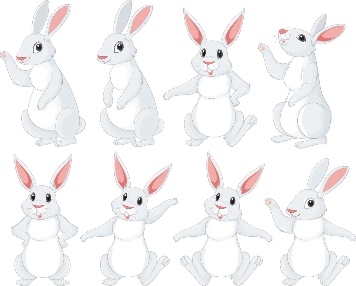 lapins blancs dans différentes poses vecteur