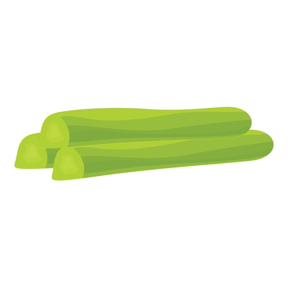 vecteur de dessin animé d'icône de plante de salade. nourriture de céleri