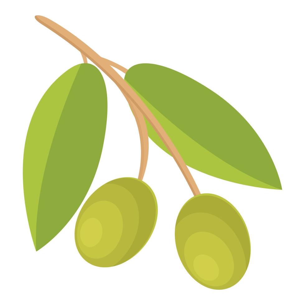 vecteur de dessin animé d'icône d'olives vertes de cuisson. nourriture olive