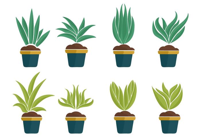 Yucca Icons plantes vecteur libre