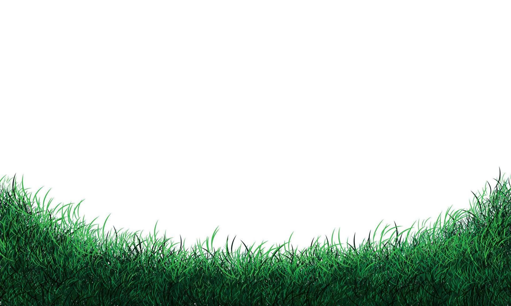 courbe de champ d'herbe verte réaliste sur le vecteur de fond blanc