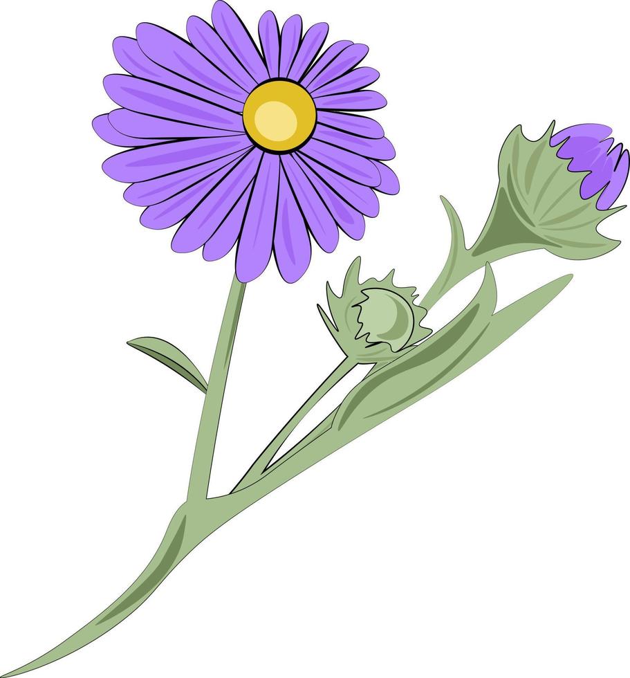 fleur violette isolé sur fond blanc vecteur