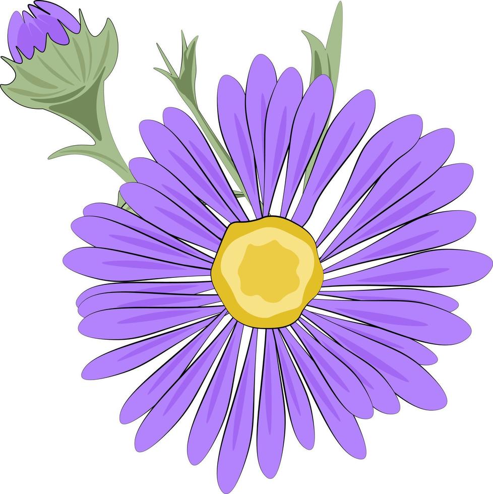 fleur violette isolé sur fond blanc vecteur