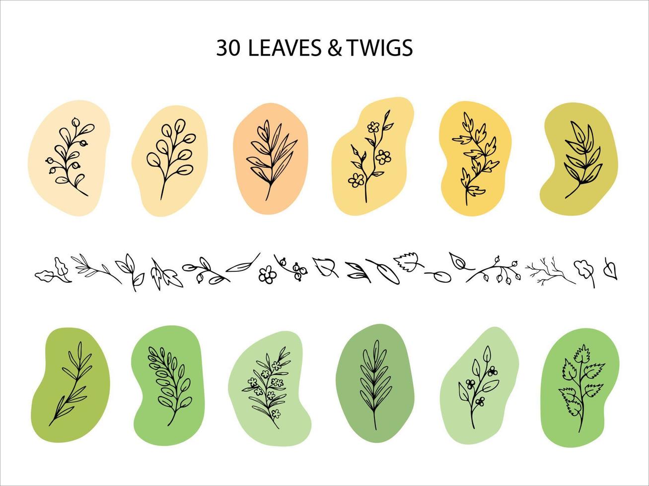 feuilles, herbes, brindilles sur des taches de couleur. éléments de conception dessinés à la main. éco, bio symboles printaniers. dessin au trait moderne, clipart, modèles d'impression vecteur