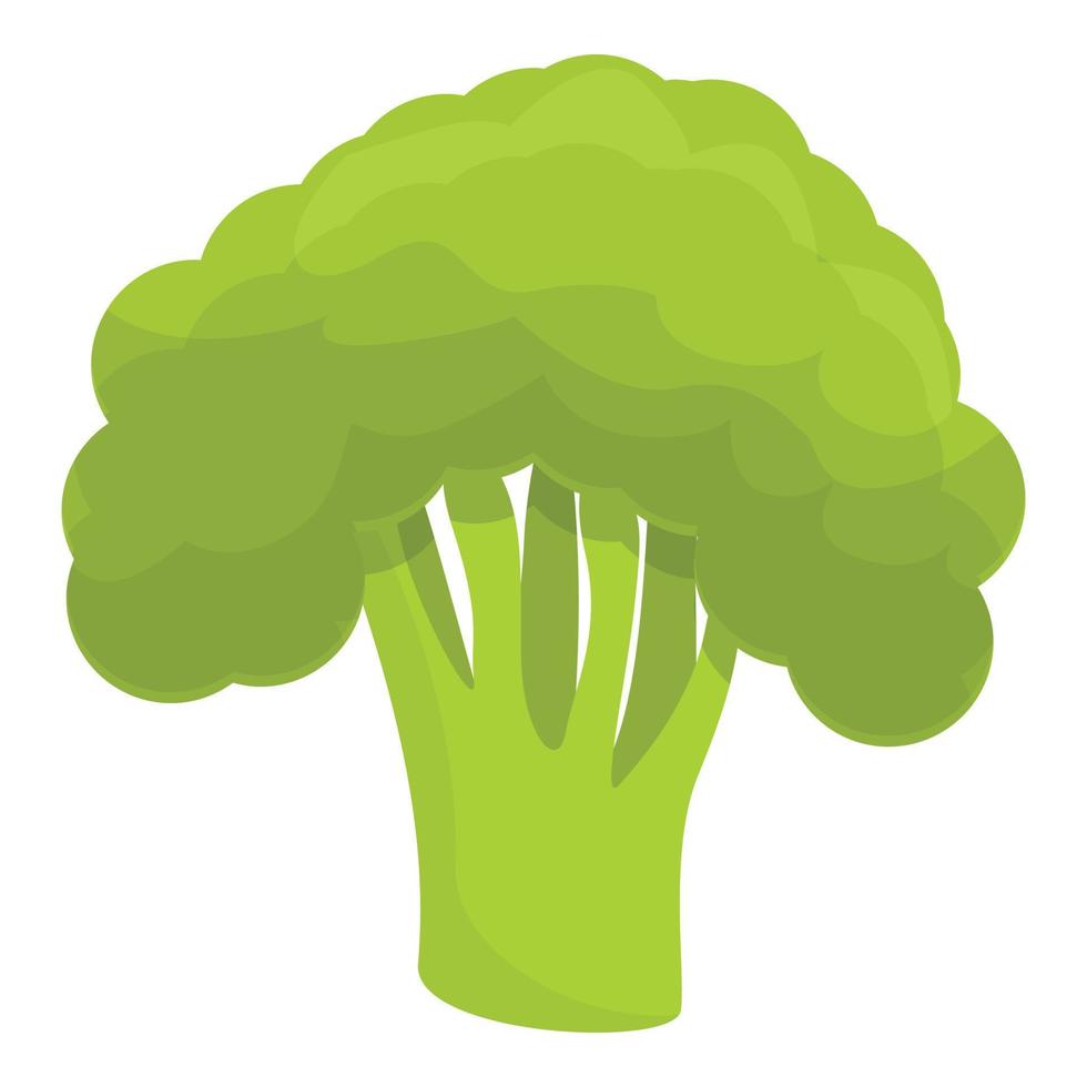 icône de brocoli, style cartoon vecteur