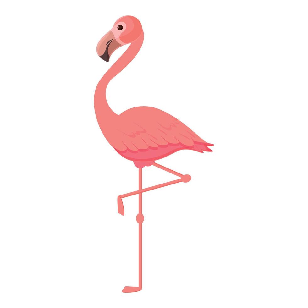 vecteur de dessin animé icône nature flamingo. oiseau rose