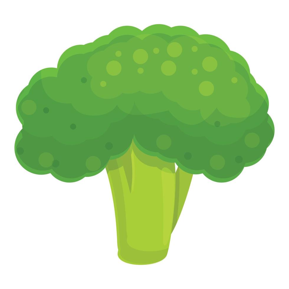 icône de brocoli cru, style cartoon vecteur