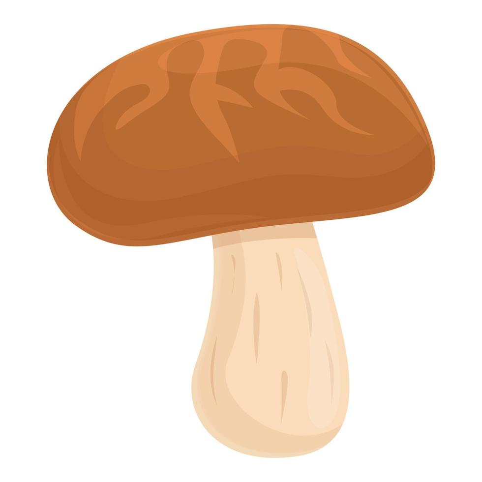 vecteur de dessin animé d'icône de champignon de champignon. nourriture shiitake